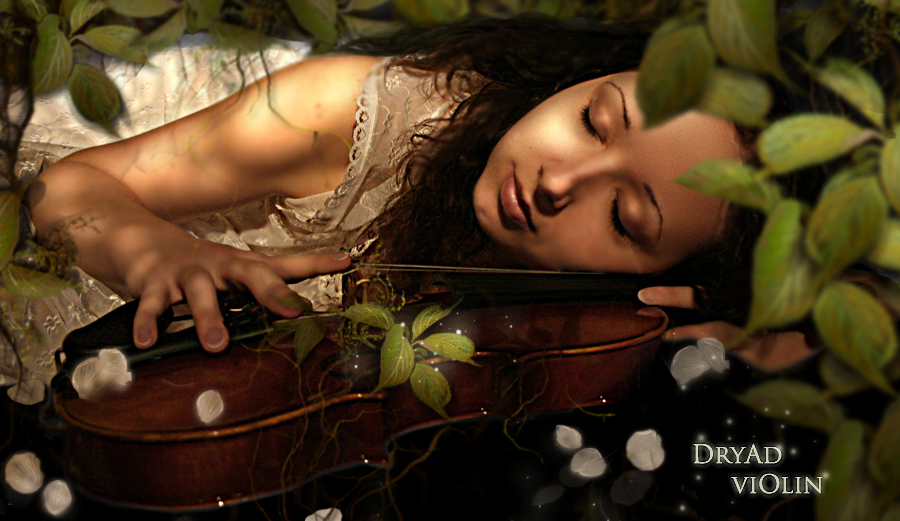 Dryad violin II